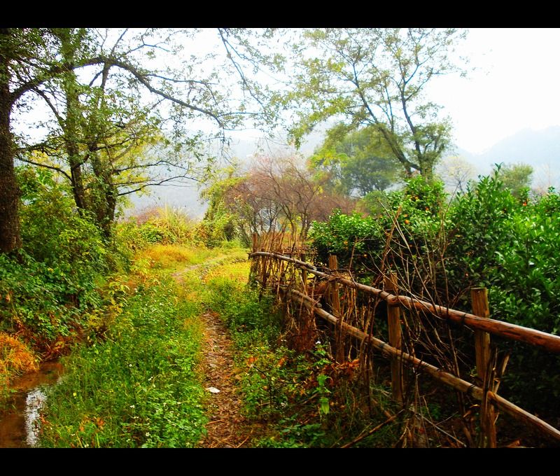 http://m.omega3-ala.com/pics/default/download/df9a0a6c1e203db42bcd5eaabdff9a0a.jpg