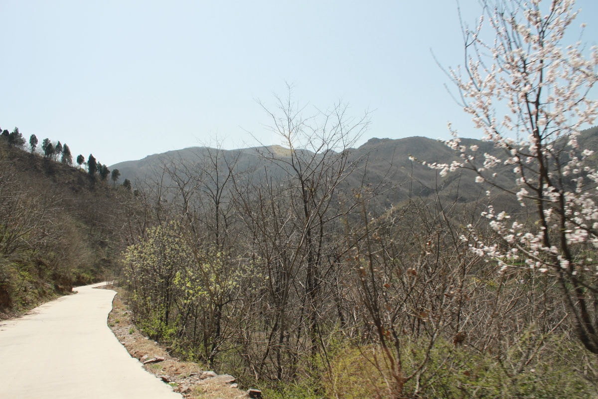 http://m.omega3-ala.com/pics/default/download/e2e0892ab7b73fa91356db6e10d2d0ed.jpg