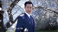 臺(tái)視八點(diǎn)檔《春梅》片頭