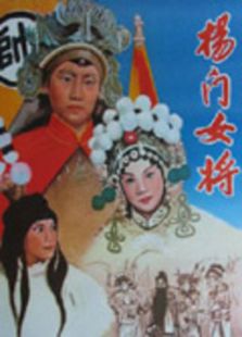 楊門(mén)女將
