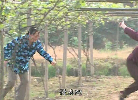 http://m.omega3-ala.com/pics/default/download/e47cbcf7cc2be27c8daa387a7cf4b6d8.jpg