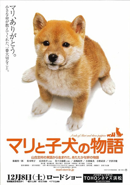 http://m.omega3-ala.com/pics/default/download/e627703a769baa535435e7d7a7c0aa20.jpg