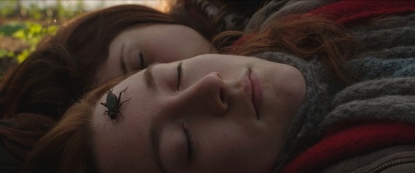 http://m.omega3-ala.com/pics/default/download/ea31404107adcce990e0c84139a1110b.jpg