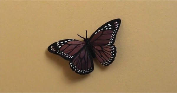 http://m.omega3-ala.com/pics/default/download/ec997e56a5cf6506eedab5beb66ab184.jpg
