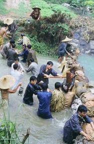 http://m.omega3-ala.com/pics/default/download/f12eaafbd89ffd6e0111450493d57dce.jpg