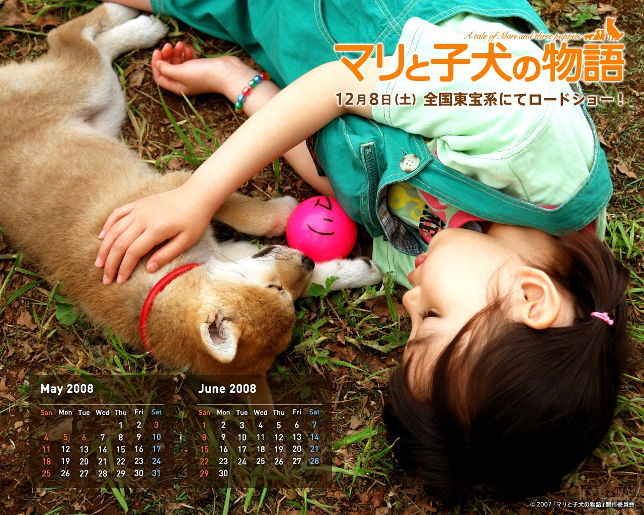 http://m.omega3-ala.com/pics/default/download/f18bcddf680cae6594ee3dd62aa4da47.jpg