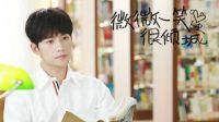 《微微一笑很傾城》楊洋個人向