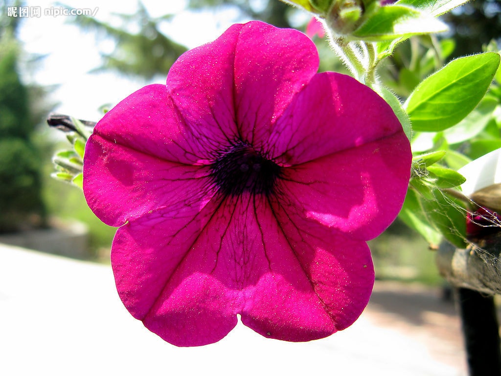 http://m.omega3-ala.com/pics/default/download/f3b60badfa53facb665bdbeec80a6925.jpg