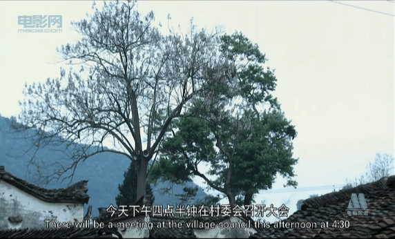 http://m.omega3-ala.com/pics/default/download/f52b6430b756295442f2ec7a88bf9738.jpg