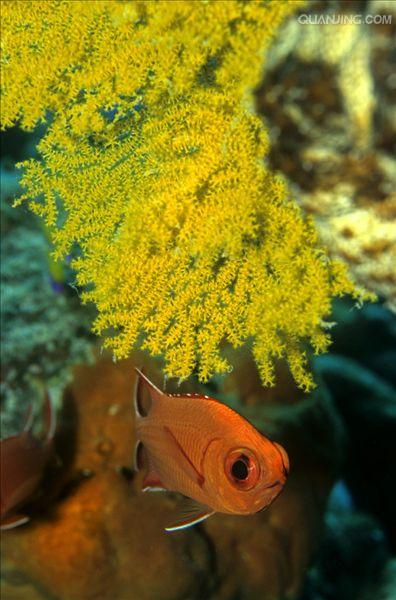 http://m.omega3-ala.com/pics/default/download/f574e8b007d32d7acfa4109307987215.jpg