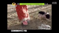 《還珠格格2015》搞笑上線 導(dǎo)演致敬原著不懼吐槽