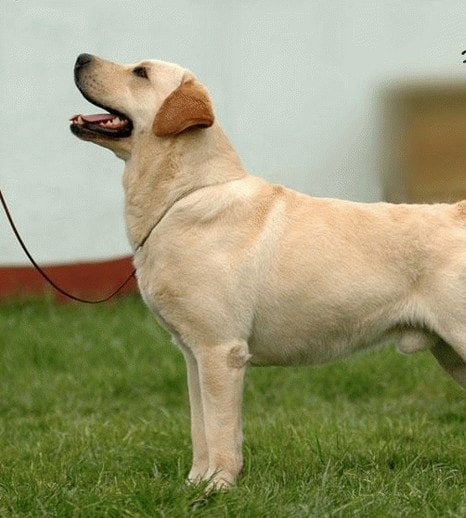 http://m.omega3-ala.com/pics/default/download/f8abc55d81e01057ea3f9c78c8a68240.jpg