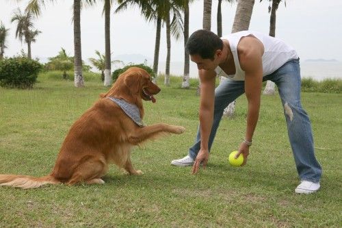 http://m.omega3-ala.com/pics/default/download/f90b890e18d996ce743b94653570c937.jpg