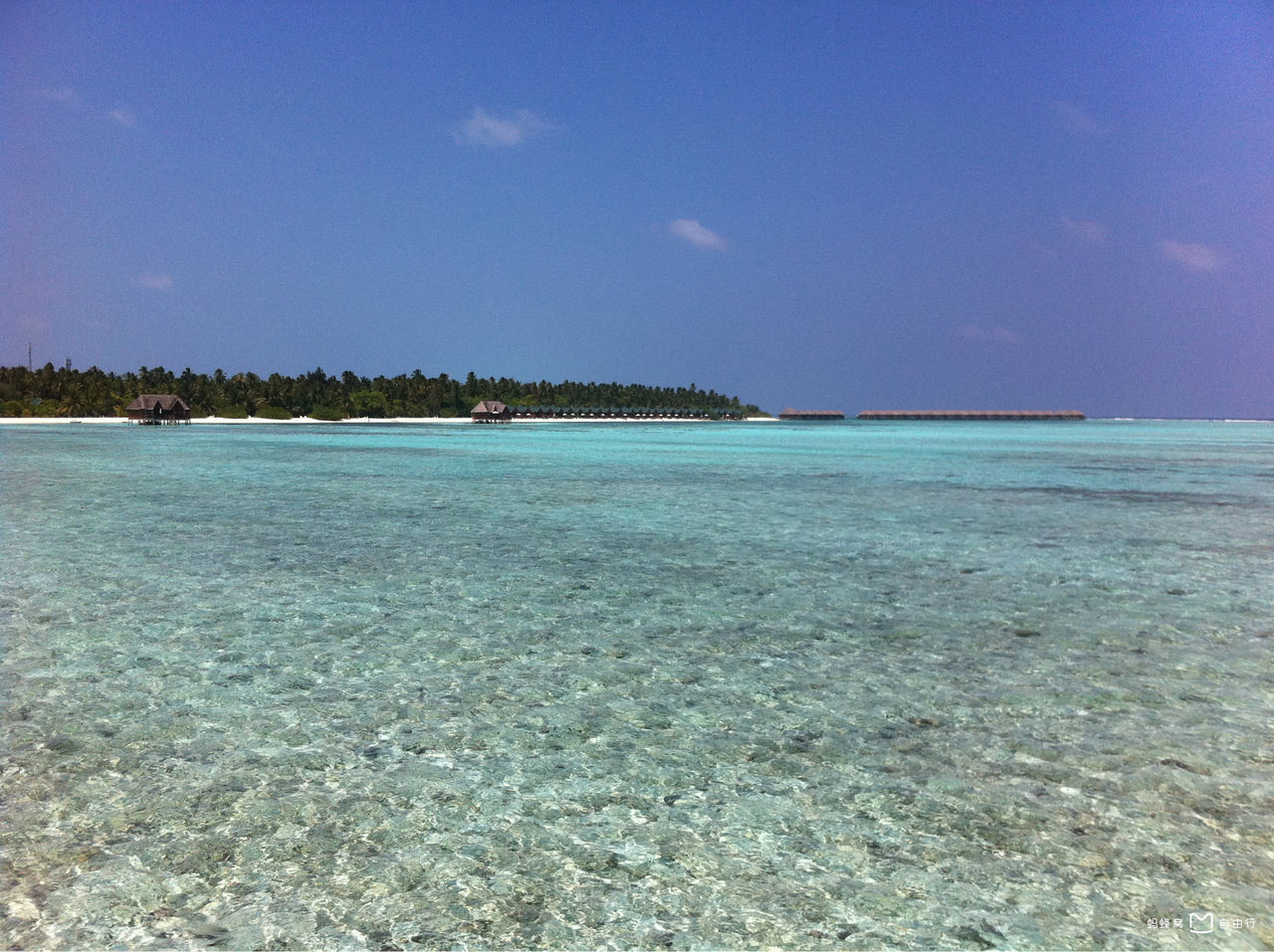 http://m.omega3-ala.com/pics/default/download/fabdbec08bade1b52d7a05a57474fc46.jpg