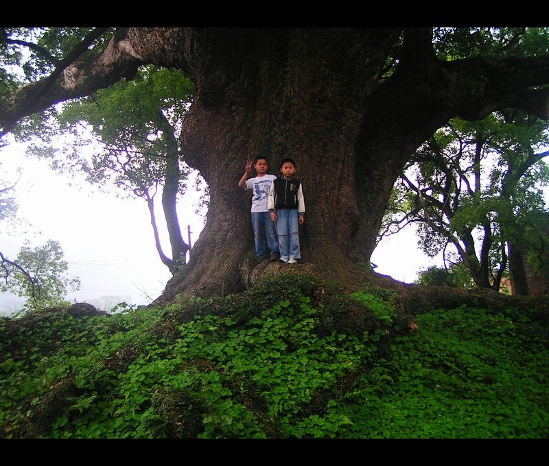 http://m.omega3-ala.com/pics/default/download/fafd523fcdc369d9d9da65d32bbcd603.jpg