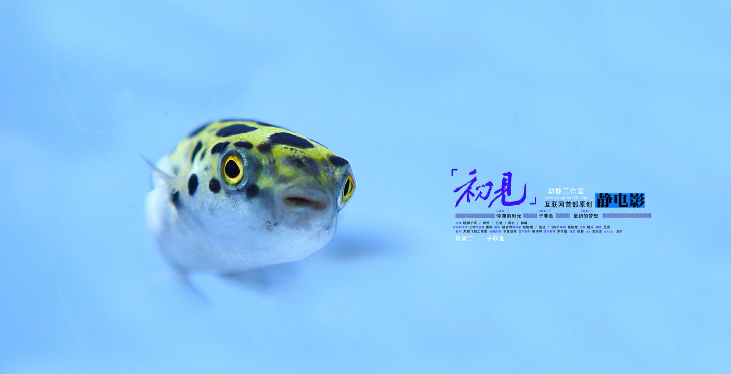 http://m.omega3-ala.com/pics/default/download/fc9c52bf02ee359c8e3134ed50f55e9f.jpg