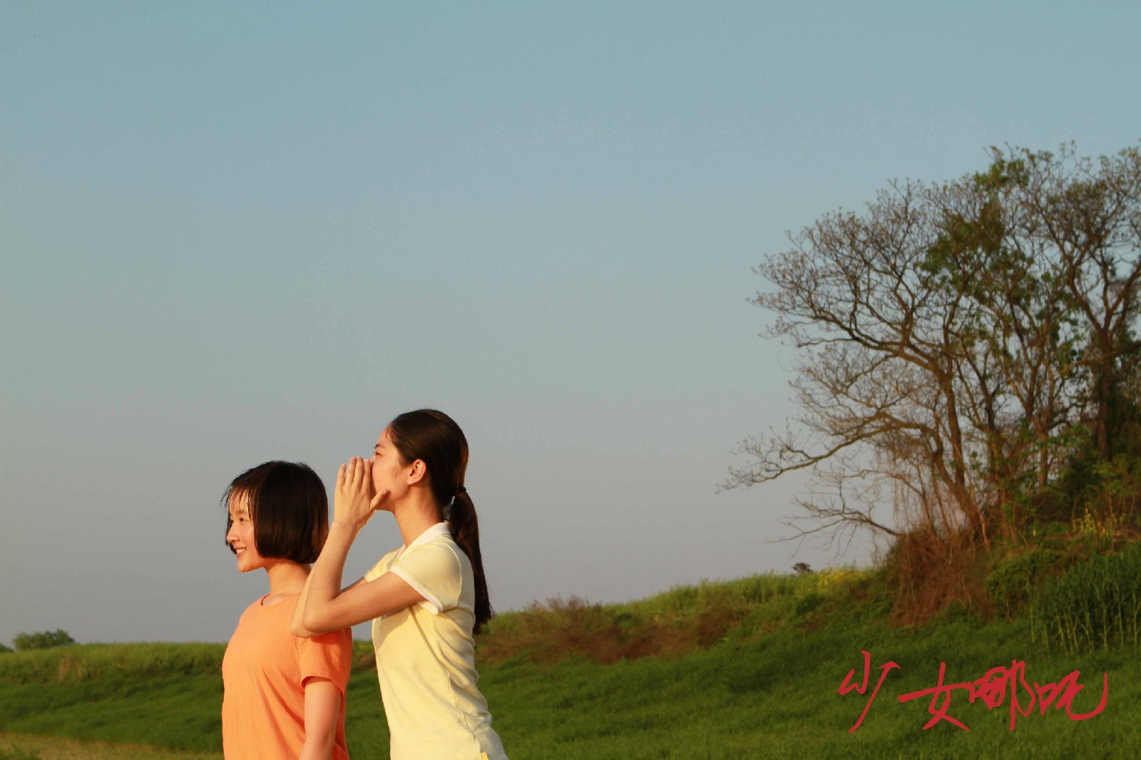 http://m.omega3-ala.com/pics/default/download/fcdd89682883825c94e63b75d562de56.jpg
