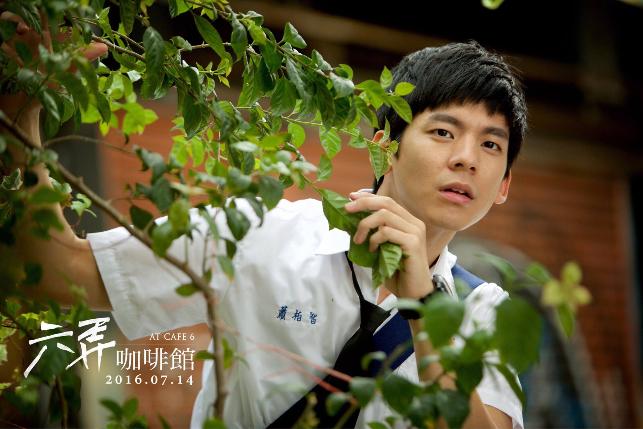六弄咖啡館 高清劇照