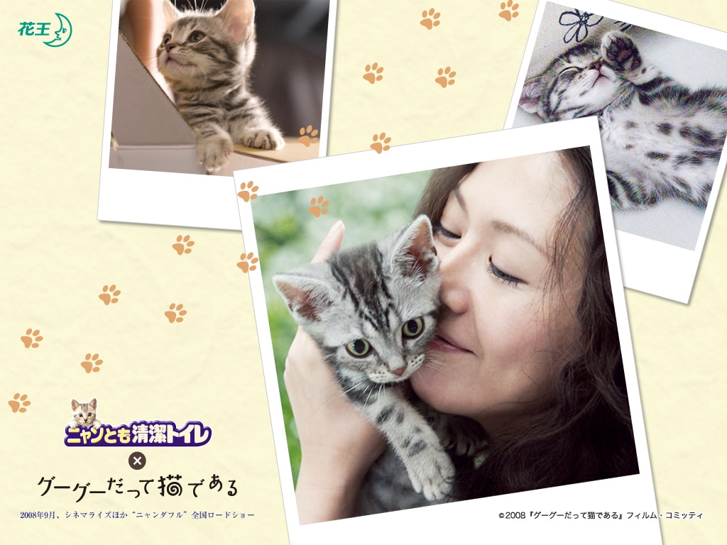 http://m.omega3-ala.com/pics/default/download/fec435722d68b3f3dd350eb3003a5b4a.jpg