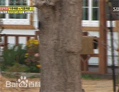 http://m.omega3-ala.com/pics/star/pic/13a994a283c3e5cf69d399e2d09d755e.jpg