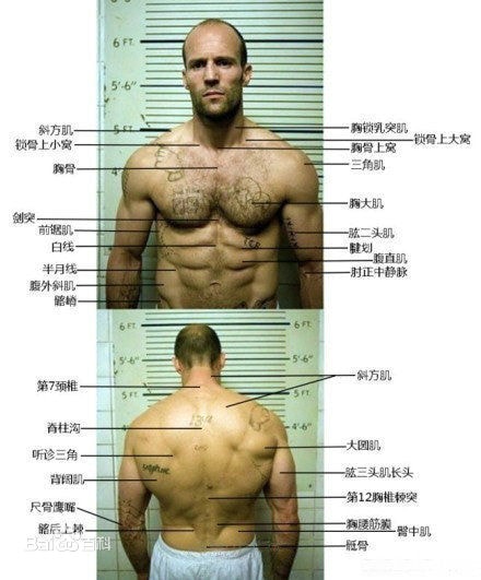 http://m.omega3-ala.com/pics/star/pic/36cdc867c7af7bef9176763e8b25c728.jpg