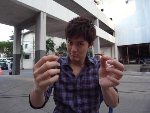 http://m.omega3-ala.com/pics/star/pic/3f2b01b3888d32e25eee5bd4584ebdf4.jpg