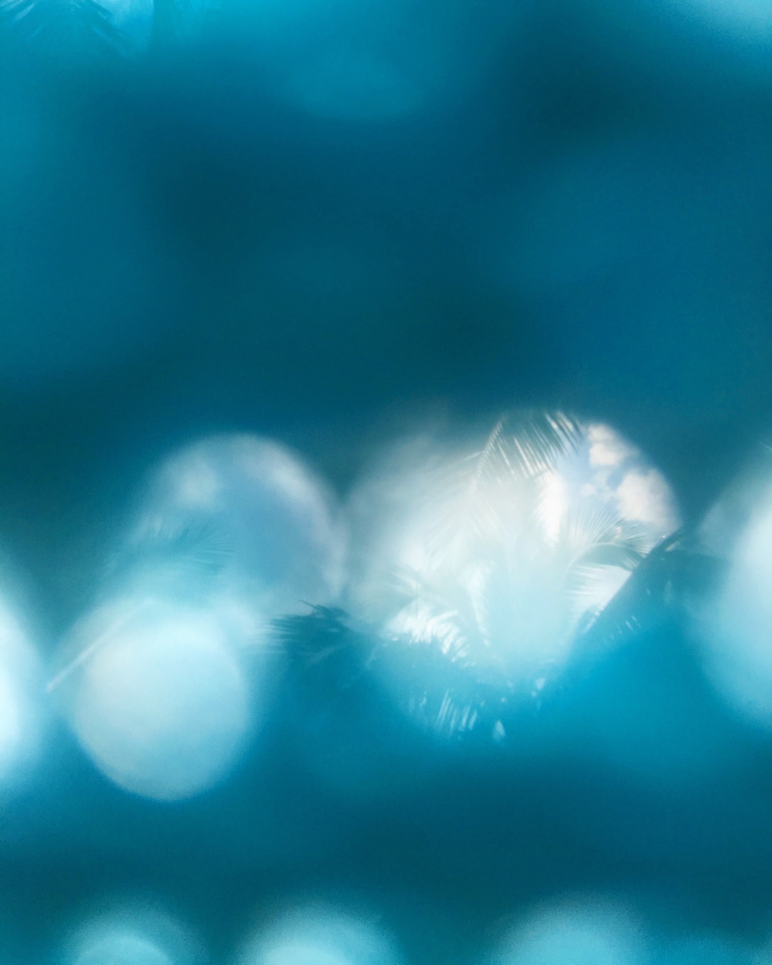 http://m.omega3-ala.com/pics/star/pic/418b58935bea5d8c397bc715d36cb5e4.jpg