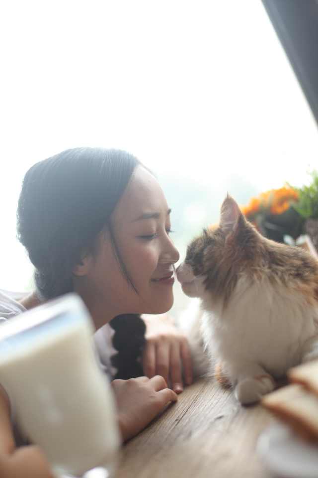 http://m.omega3-ala.com/pics/star/pic/4949ecfa61eeeeb1b5229ff414ceb4a7.jpg