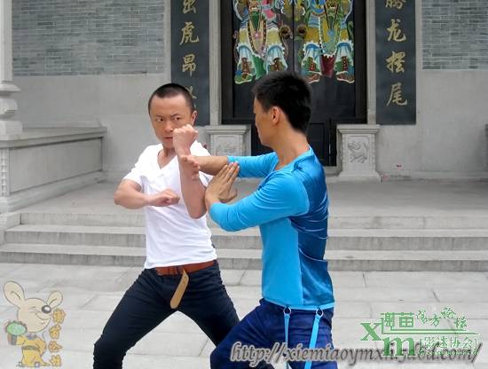 http://m.omega3-ala.com/pics/star/pic/4d3e/159ffb3434d77c17588781802dc3.jpg