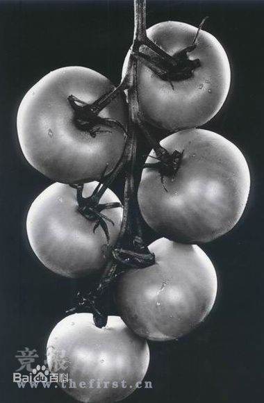 http://m.omega3-ala.com/pics/star/pic/7db93447e52baf10993101cb88b00782.jpg