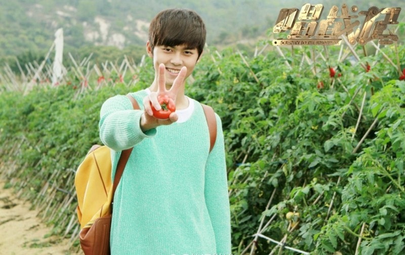http://m.omega3-ala.com/pics/star/pic/9013/70e662c640440a8a21ef55f48d34.jpg