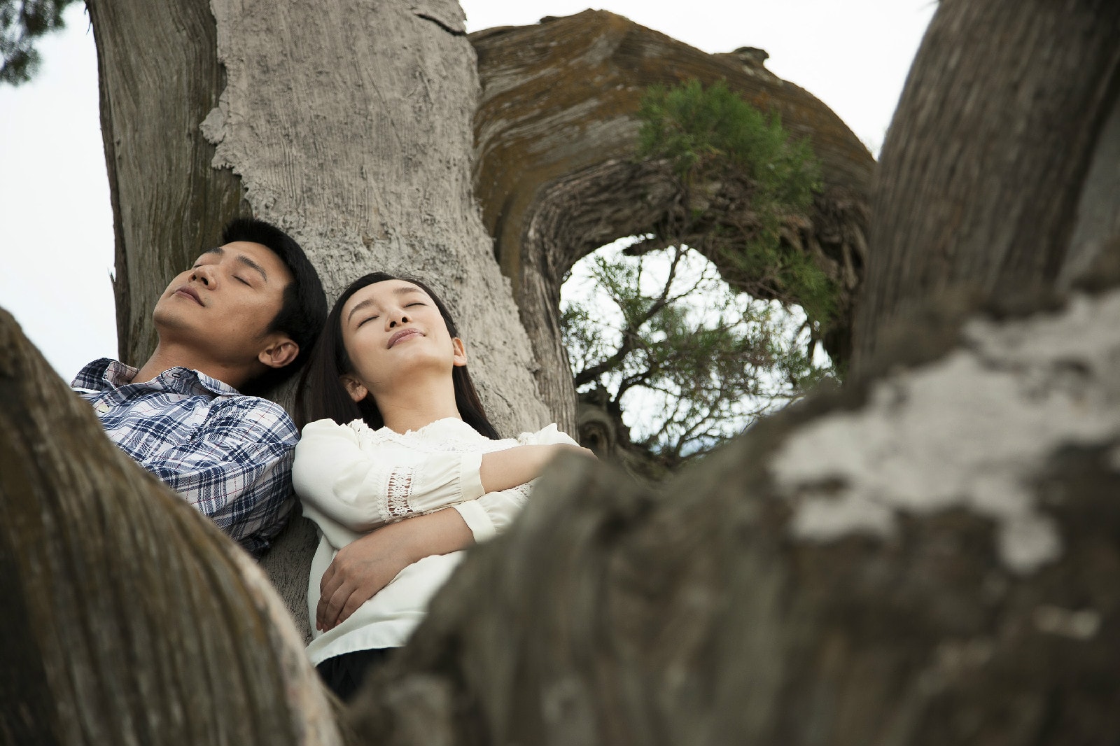http://m.omega3-ala.com/pics/star/pic/b7c1/e8d74f75782527484a9dffba428d.jpg
