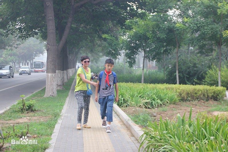 http://m.omega3-ala.com/pics/star/pic/bf1660dbbe127a5cf964be80870bb90a.jpg