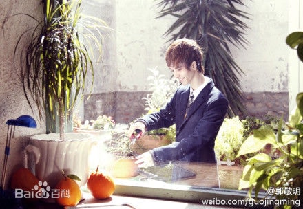 http://m.omega3-ala.com/pics/star/pic/f242a18568656c58f503f773922ff997.jpg